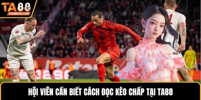 Hội viên cần biết cách đọc kèo chấp tại TA88