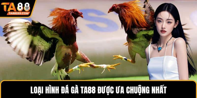 Loại hình đá gà TA88 được ưa chuộng nhất