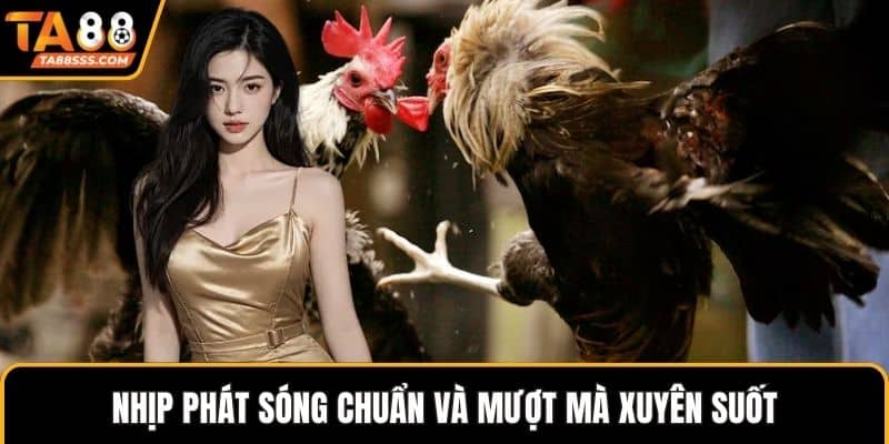 Nhịp phát sóng chuẩn và mượt mà xuyên suốt