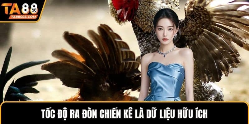 Tốc độ ra đòn chiến kê là dữ liệu hữu ích