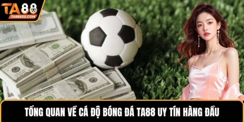 Tổng quan về cá độ bóng đá TA88 uy tín hàng đầu